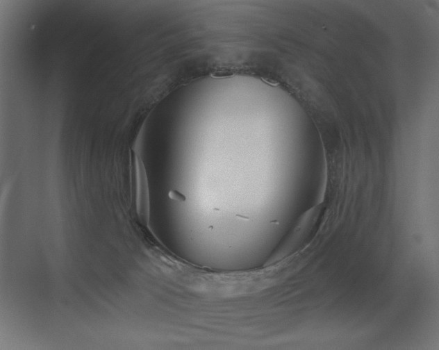 X0000075340033200609081135