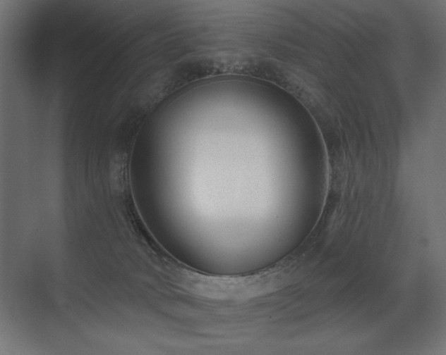 X0000075340034200609081135