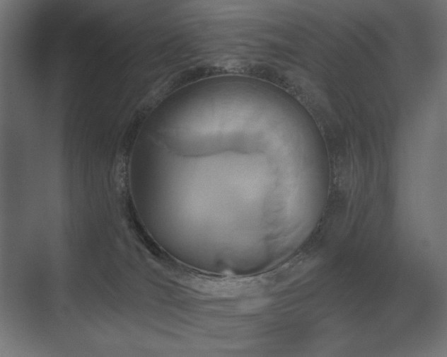 X0000075340036200609081135