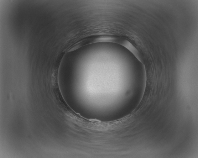 X0000075340037200609081135