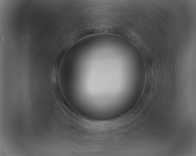 X0000075340038200609081135