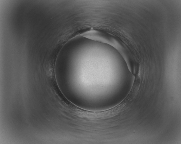 X0000075340039200609081135