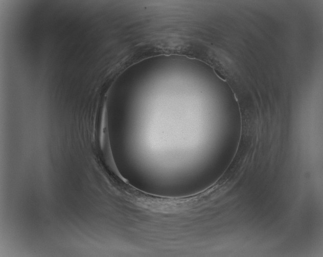 X0000075340040200609081135