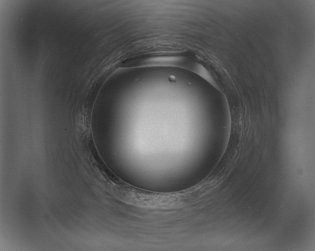 X0000075340044200609081135