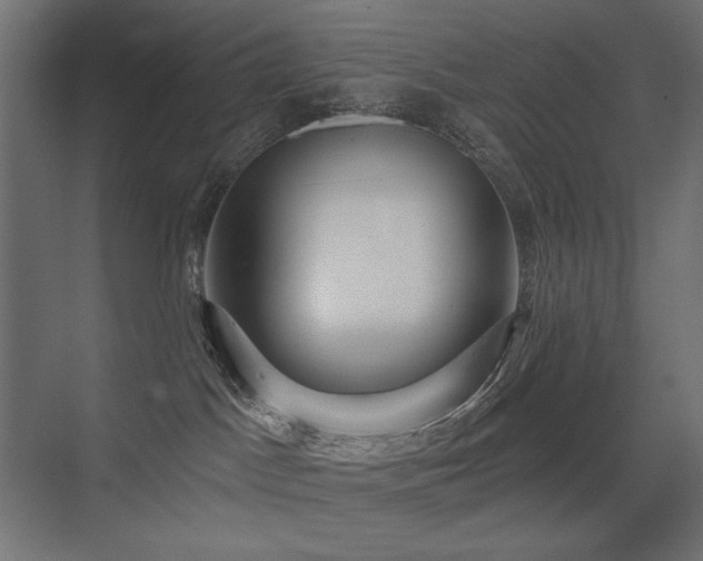 X0000075340045200609081135