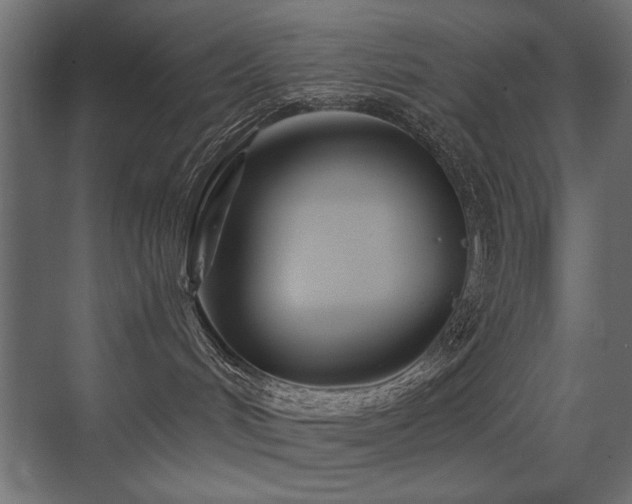 X0000075340048200609081135