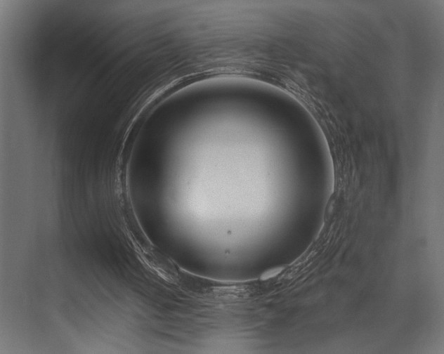 X0000075340050200609081134