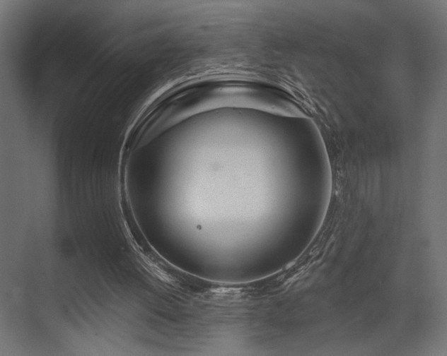 X0000075340052200609081134