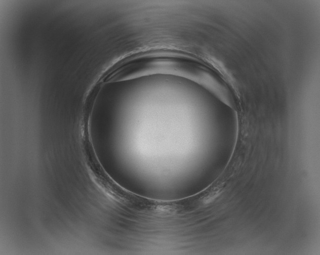 X0000075340060200609081134