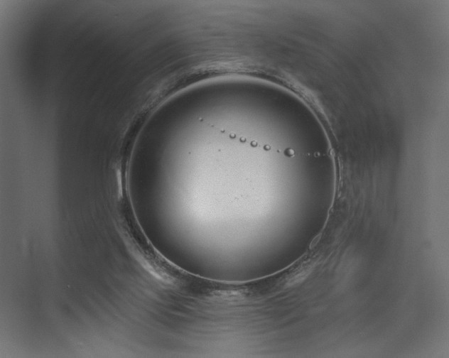 X0000075340061200609081134