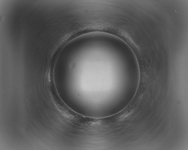 X0000075340068200609081134