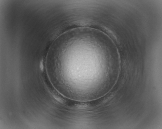 X0000075340069200609081134