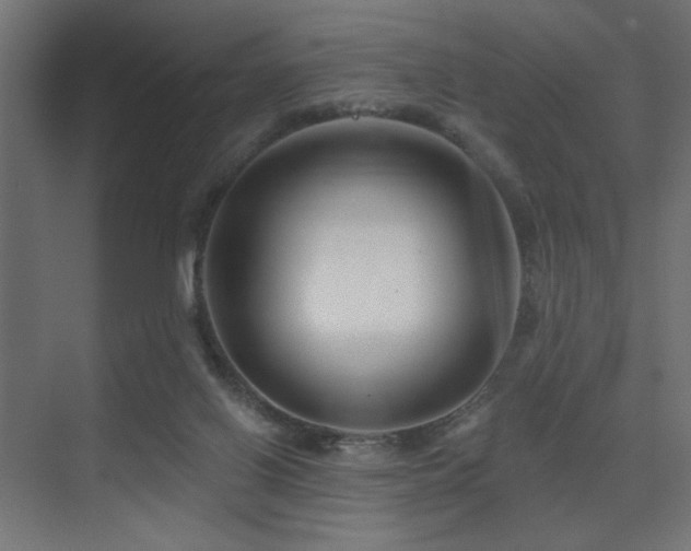 X0000075340070200609081134