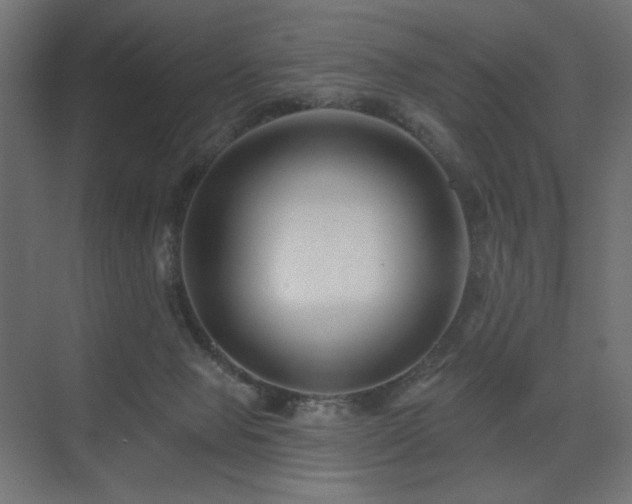 X0000075340077200609081134