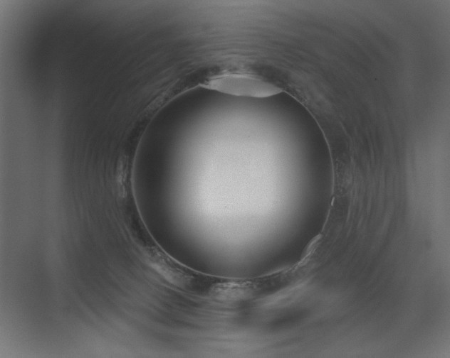X0000075340082200609081134