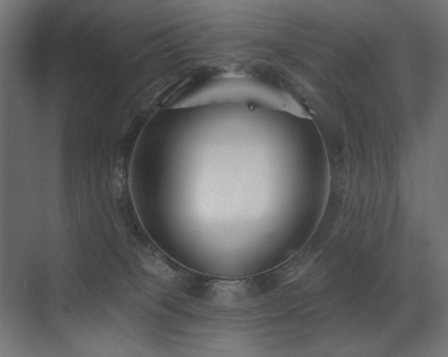 X0000075340085200609081134