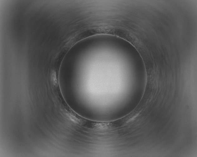 X0000075340089200609081135