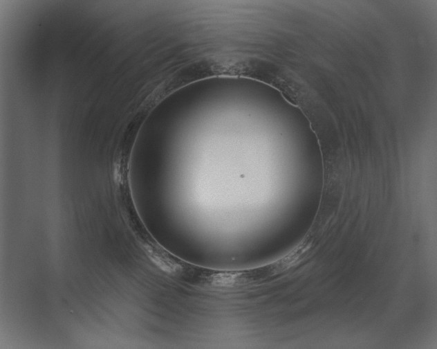 X0000075340090200609081135