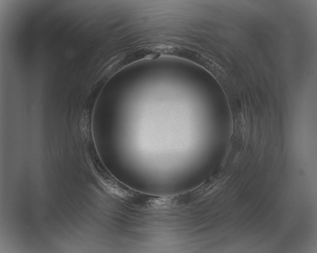X0000075340092200609081135