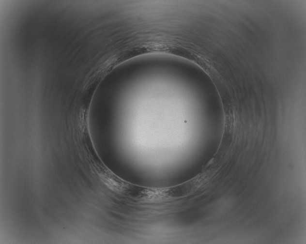 X0000075340093200609081135