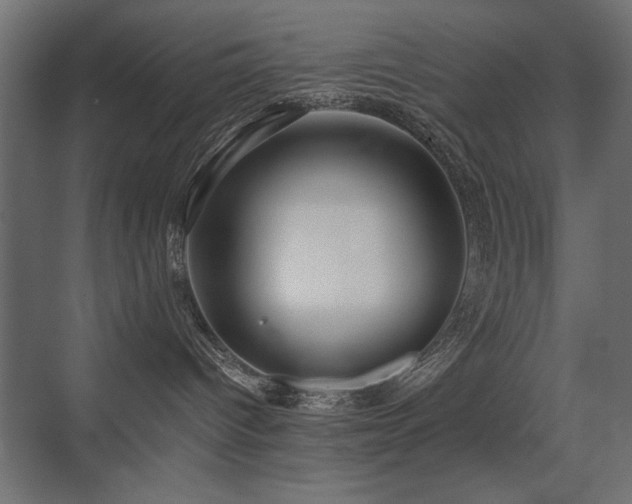 X0000075340096200609081135
