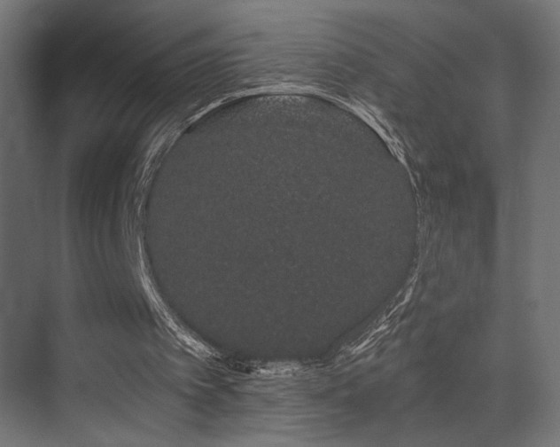 X0000075340097200609081134