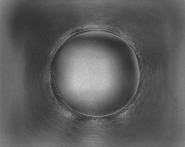 X0000075340103200609081134