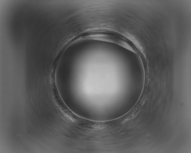 X0000075340105200609081134