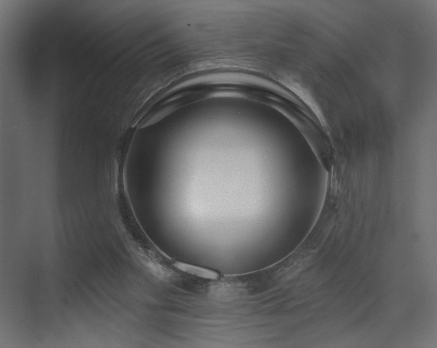 X0000075340109200609081134