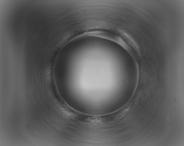 X0000075340113200609081134
