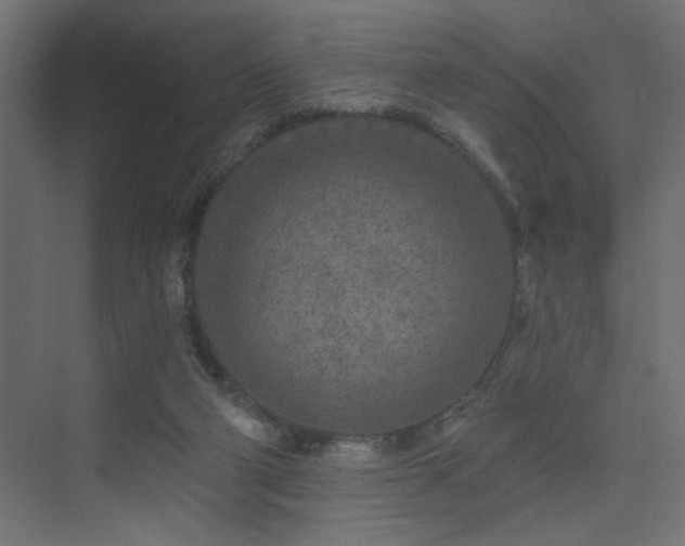X0000075340114200609081134