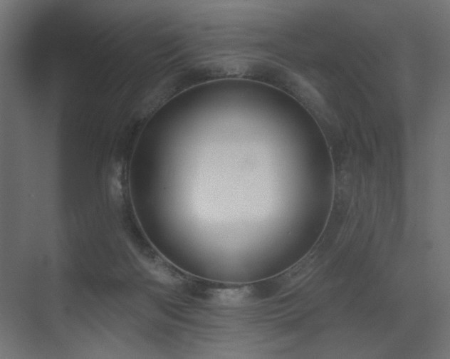 X0000075340122200609081133