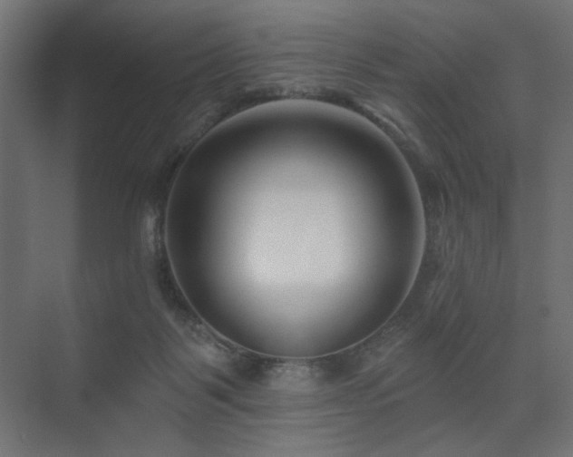 X0000075340123200609081133