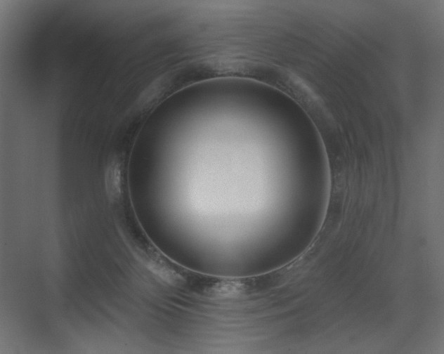 X0000075340124200609081133
