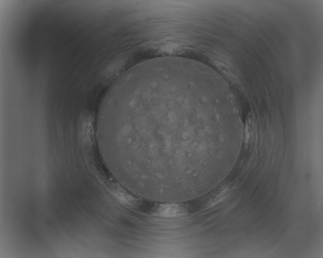 X0000075340127200609081133