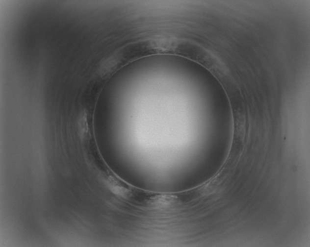 X0000075340128200609081133