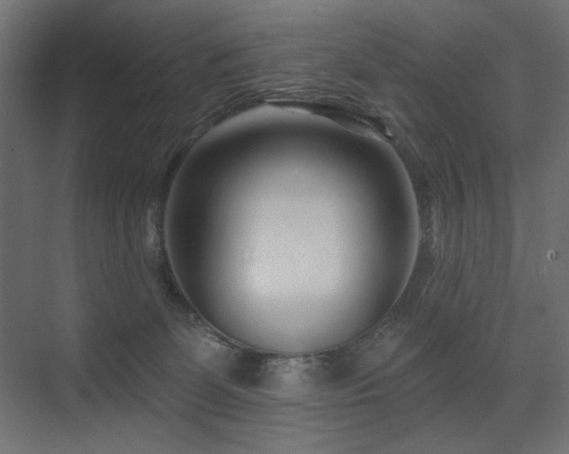 X0000075340131200609081133