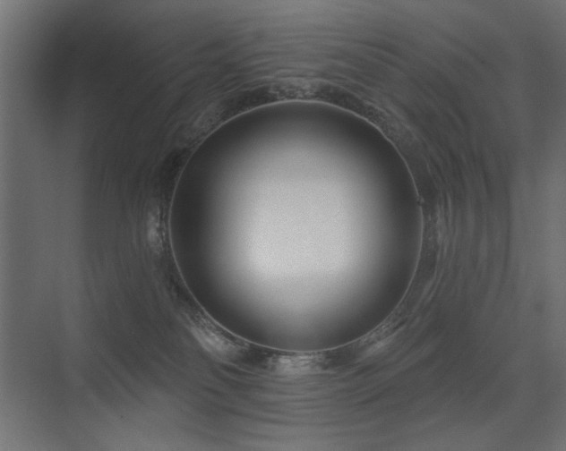 X0000075340134200609081133