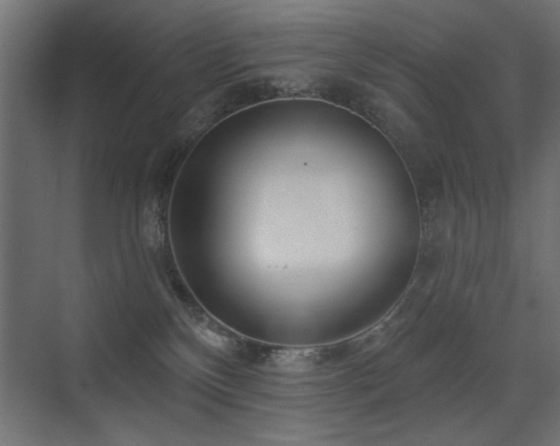 X0000075340136200609081133
