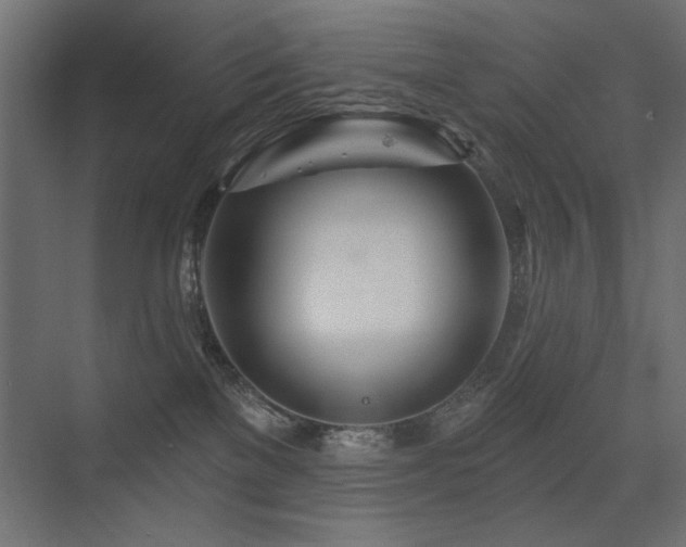 X0000075340137200609081133