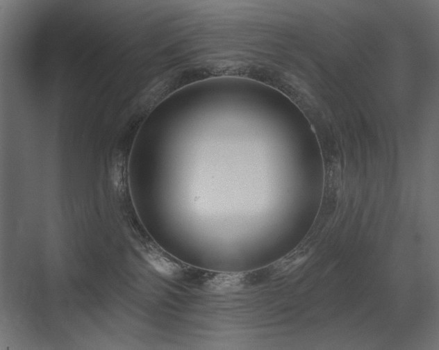 X0000075340138200609081133