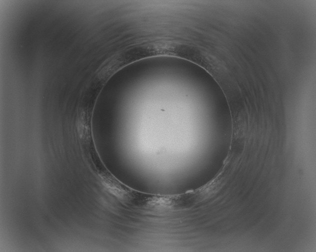 X0000075340140200609081133