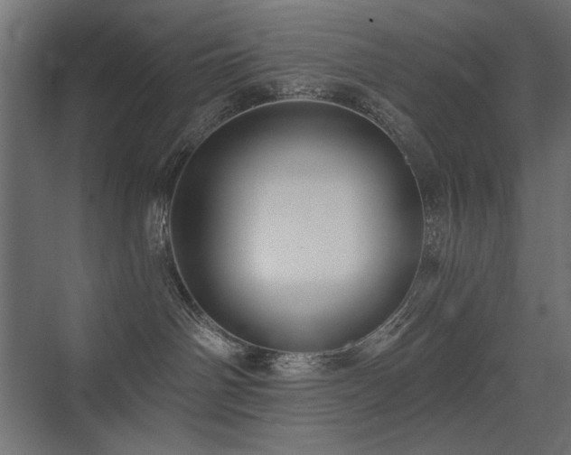 X0000075340142200609081133