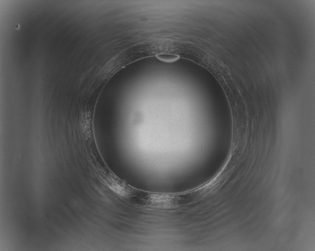 X0000075340144200609081133