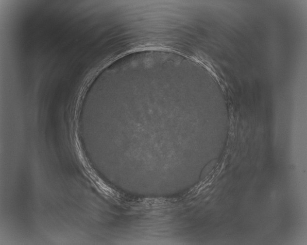 X0000075340145200609081132