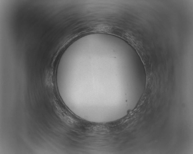 X0000075340146200609081132