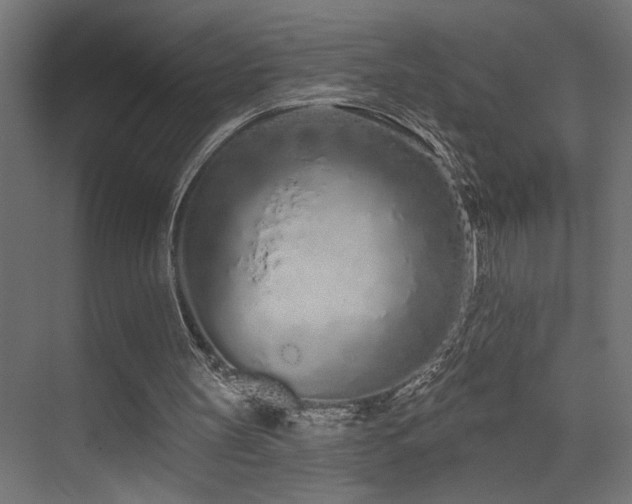X0000075340147200609081132