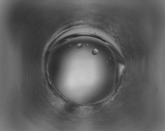 X0000075340150200609081132