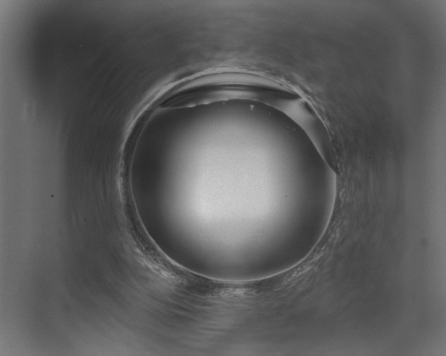 X0000075340152200609081132