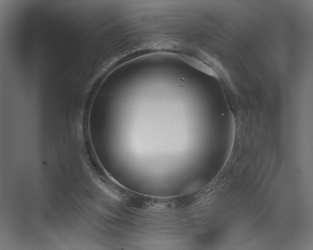 X0000075340155200609081132